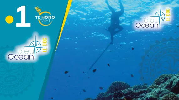 Bleu océan le doc #2 Bleu océan le doc #2