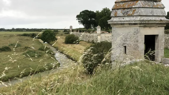 Les patrimoines de Nouvelle-Aquitaine 