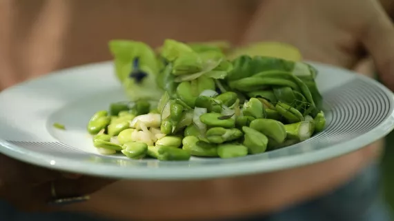Une salade de fèves solidaire à Saint-Julien-l'Ars 