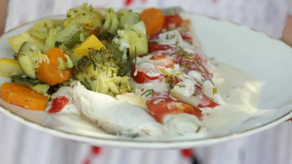 Bar et légumes cueillis à Neuville-de-Poitou