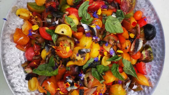 Arc-en-ciel de tomates au Taillan-Médoc 