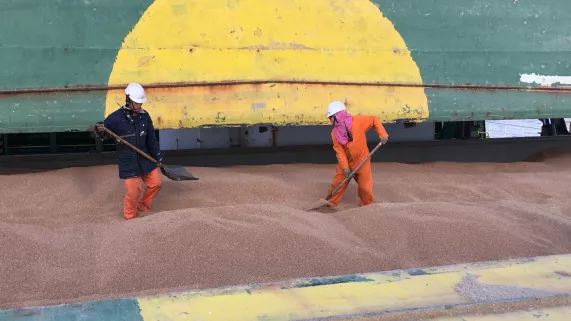 Déchargement bâteau