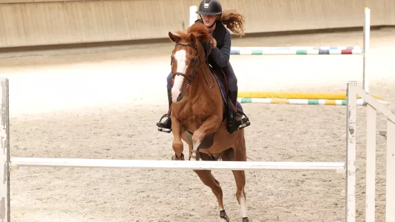 Au galop !