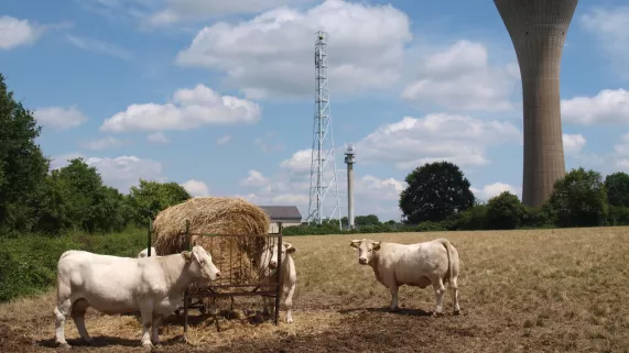 © Avenir Agricole.jpeg © Avenir Agricole.jpeg