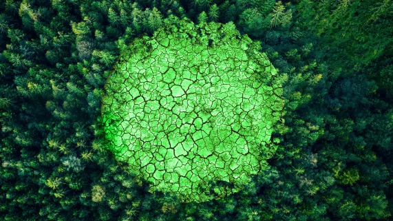 header DP environnement