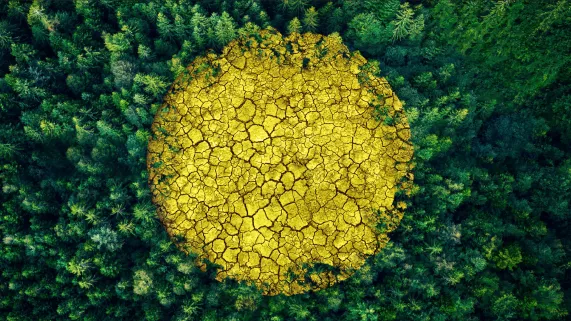header DP environnement