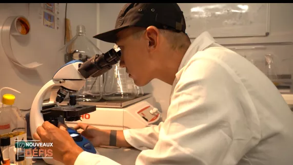 Les Nouveaux Défis, votre rendez-vous avec l’économie de l'île sur Réunion la 1ère : Best of 2025