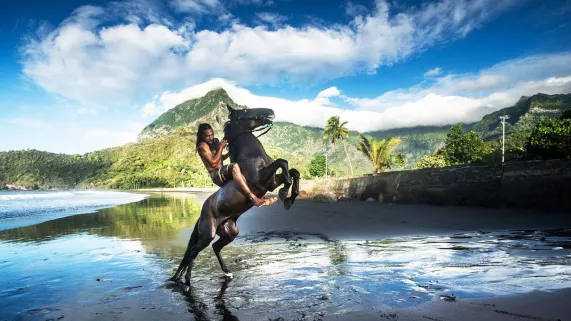 UA HUKA : L'ÎLE AUX CHEVAUX  UA HUKA : L'ÎLE AUX CHEVAUX