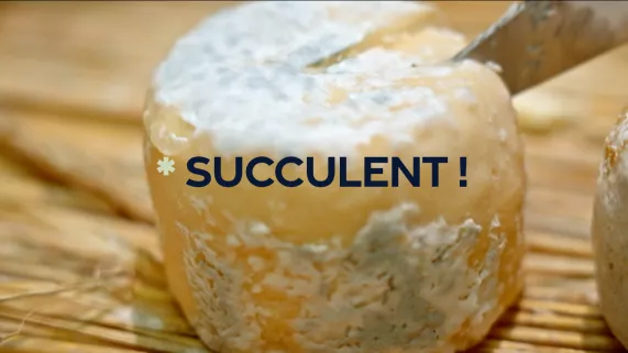 Crottin de Chavignol coupé