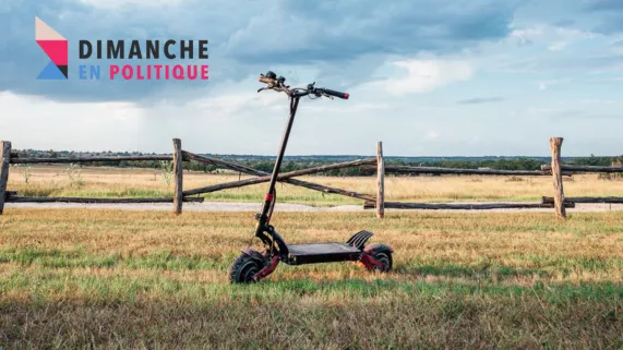 Dimanche en politique - la nature prise d'assaut - CREDIT Varla Scooter