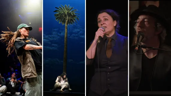 Plage aux spectacles PDL
