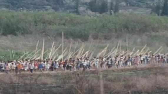 les chemins de l'histoire le foncier