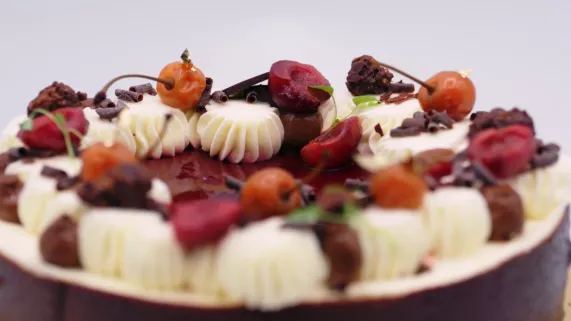 LES CERISES SUCCULENT