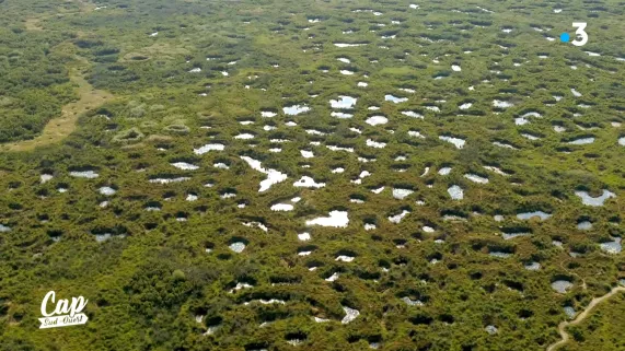 Cap Sud Ouest Vienne