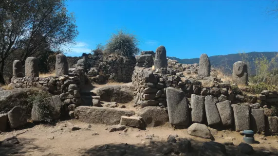Les racines et l'horizon