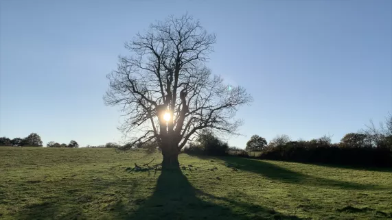 Le premier pas : documentaire Nicolas Fay  Le premier pas : documentaire Nicolas Fay