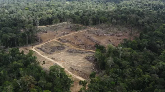 Changement climatique Guyane