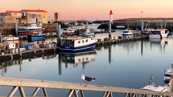 port de la Cotinière DEP Grande Région du 14 avril