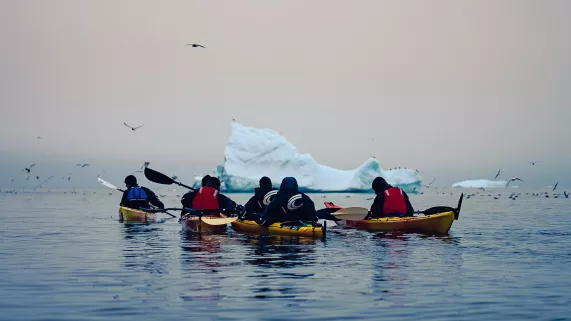Des pépites et des icebergs