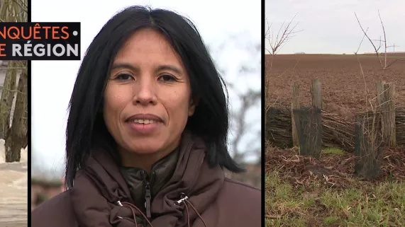 Enquêtes de région - terres inondables - crédit FTV Enquêtes de région - terres inondables - crédit FTV