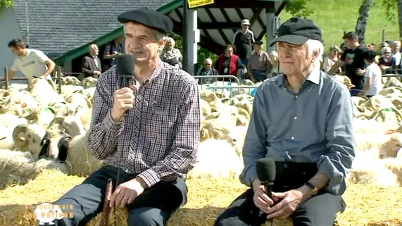 En route vers les estives