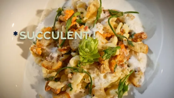 Le houblon Succulent