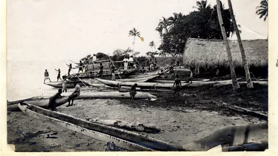 les chemins de l'histoire île des pins