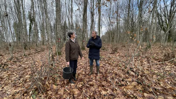 NoA sur terre  - la sylviculture  NoA sur terre