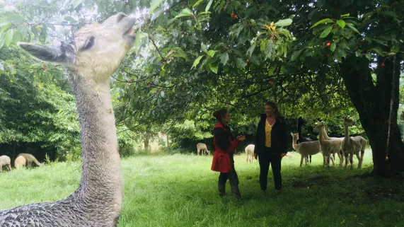 Envie dehors ! Virée dans le sud de la Mayenne