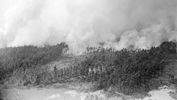 Incendies foret 1949