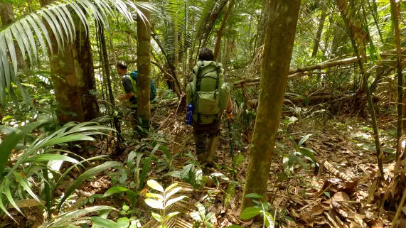 Les plus beaux treks : Guyane