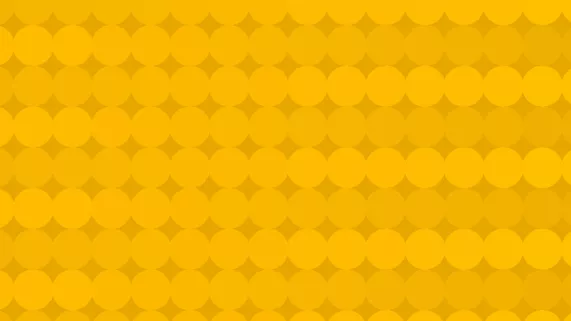 Fond 1ère habillage