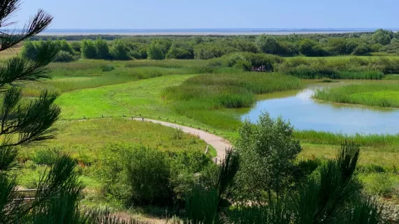 PARC DU MARQUENTERRE