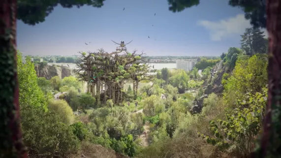 Arbre aux hérons  Arbre aux hérons