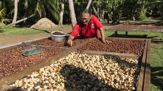 La Maison de la Vanille à Poutoru