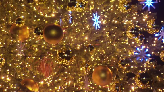 Illuminations de Noël à Nice - Copyright Francetv