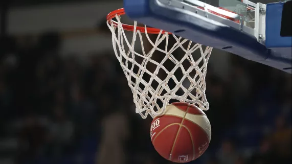 Basket Basket image maxppp usage unique Nouvelle aquitaine