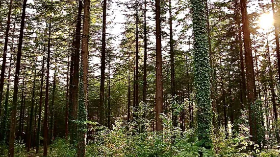 Silence on coupe Silence on coupe