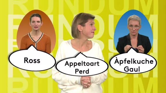 Rund Um anniversaire