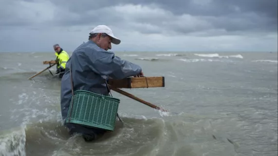 SANS QUEUE NI TETE 2 © CP Productions