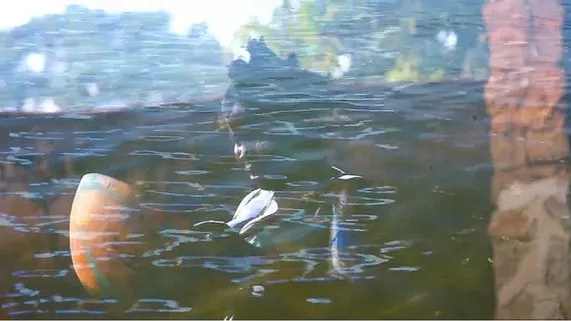 TAAMADEN 800 (c) Les Films du Bilboquet