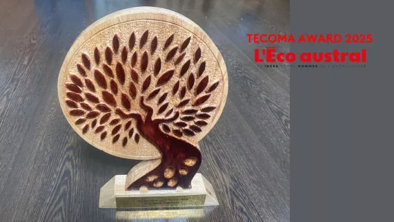Le Tecoma Award n’est pas un concours auquel on s’inscrit. C’est la rédaction de L’Éco austral qui choisit les nominés en se basant sur quatre critères : progression, innovation, RSE et dynamisme à l’extérieur, et sur ce qui a marqué l’actualité économique durant l’année en cours et l’année précédente. 