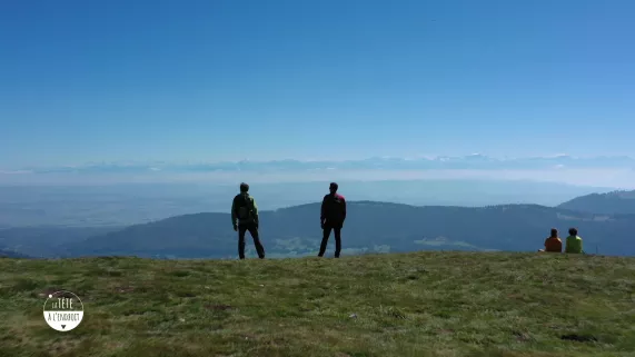 TALE mont d'or
