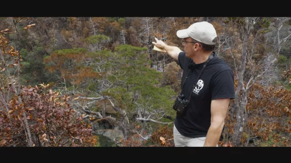 un paradis en péril
