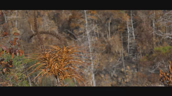 Un paradis en péril