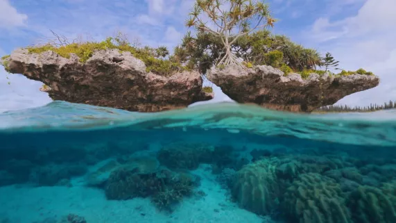 l'île des pins le dernier sanctuaire