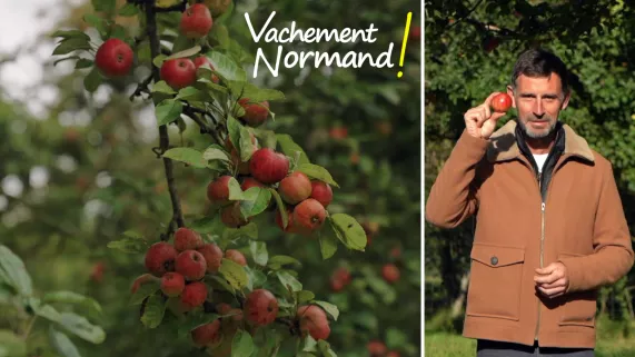 VAN L'Eure la pomme en héritage