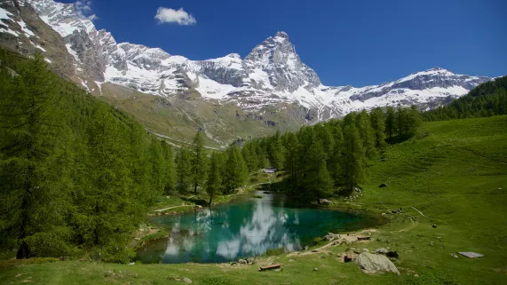 Préserve Ta Montagne ""