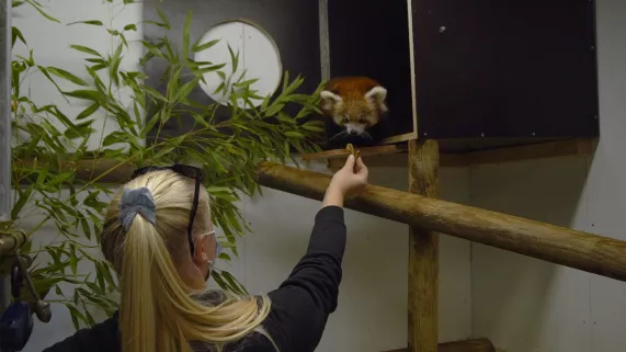 ZOO D'AMIENS (c) Jean-René Chapron