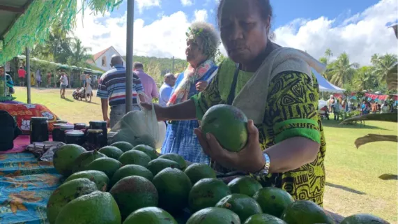 fête de l'avocat à Maré